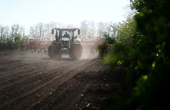 Russia Agriculture Sowing
