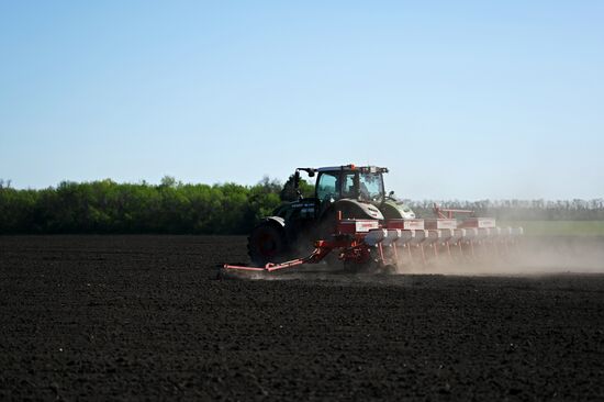 Russia Agriculture Sowing