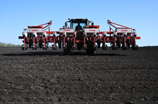 Russia Agriculture Sowing