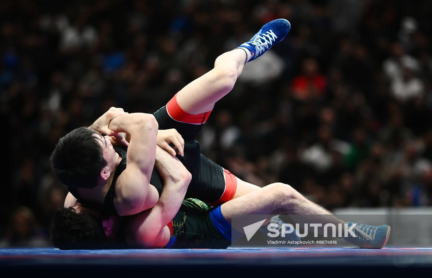 Russia Freestyle Wrestling Championships