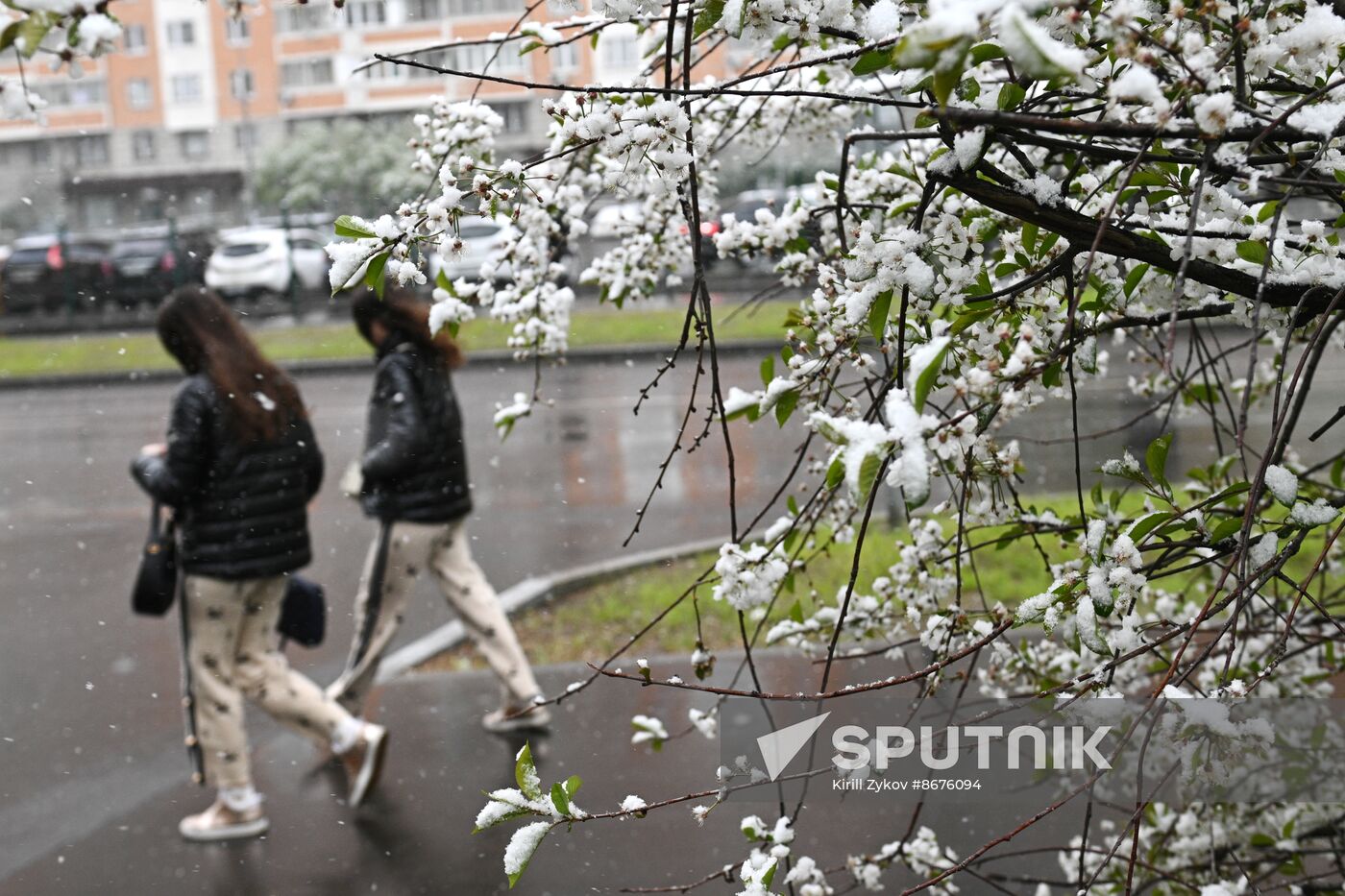 Russia Weather