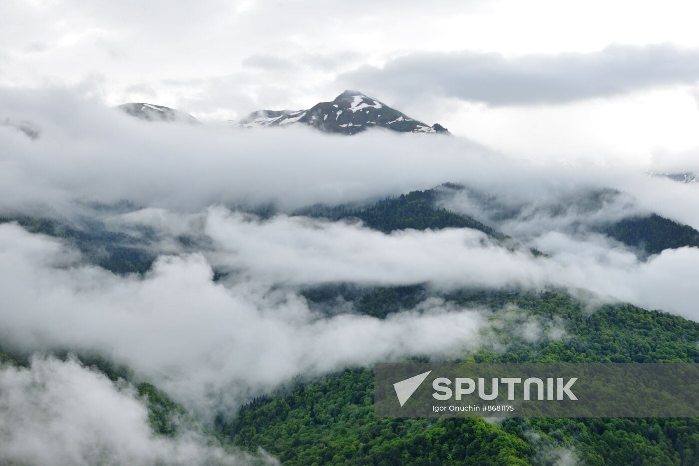 Russia Environment Caucasus Nature Reserve
