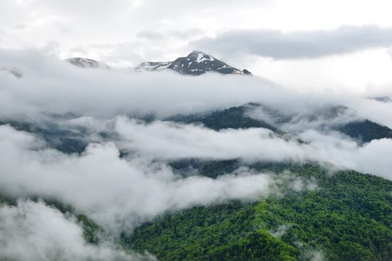 Russia Environment Caucasus Nature Reserve