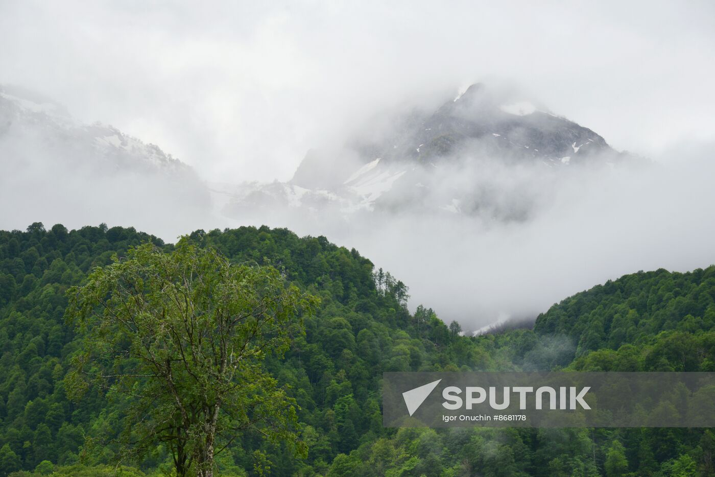 Russia Environment Caucasus Nature Reserve