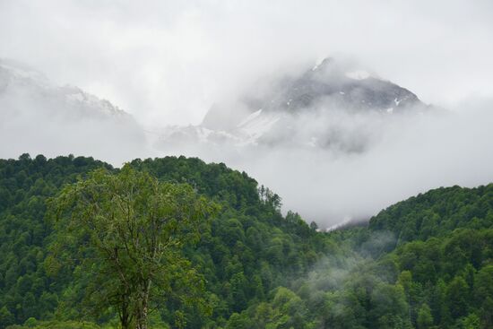 Russia Environment Caucasus Nature Reserve