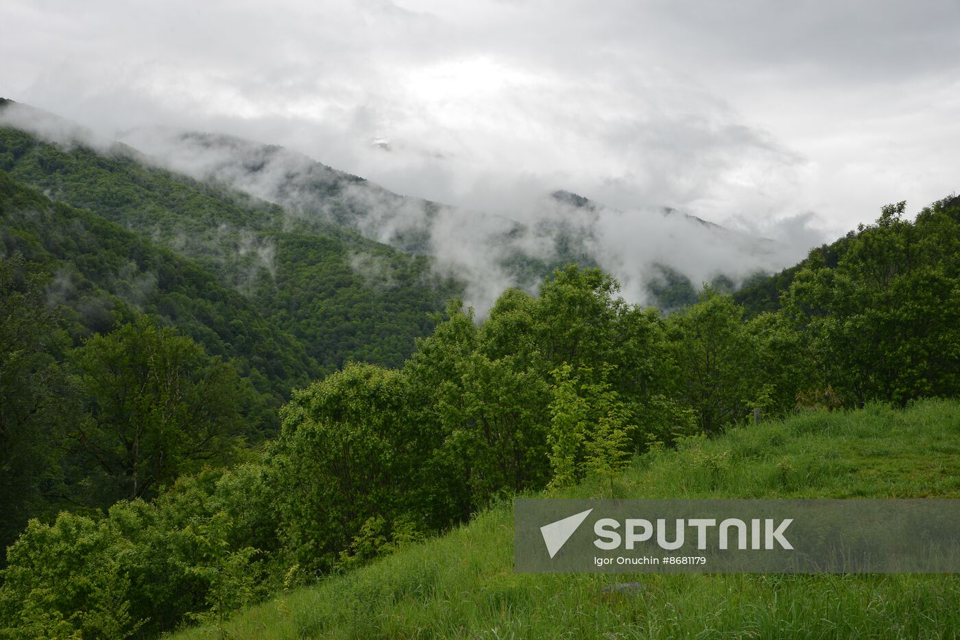 Russia Environment Caucasus Nature Reserve