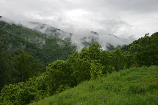 Russia Environment Caucasus Nature Reserve