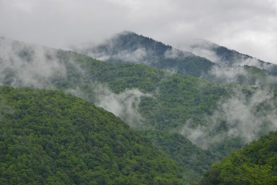Russia Environment Caucasus Nature Reserve