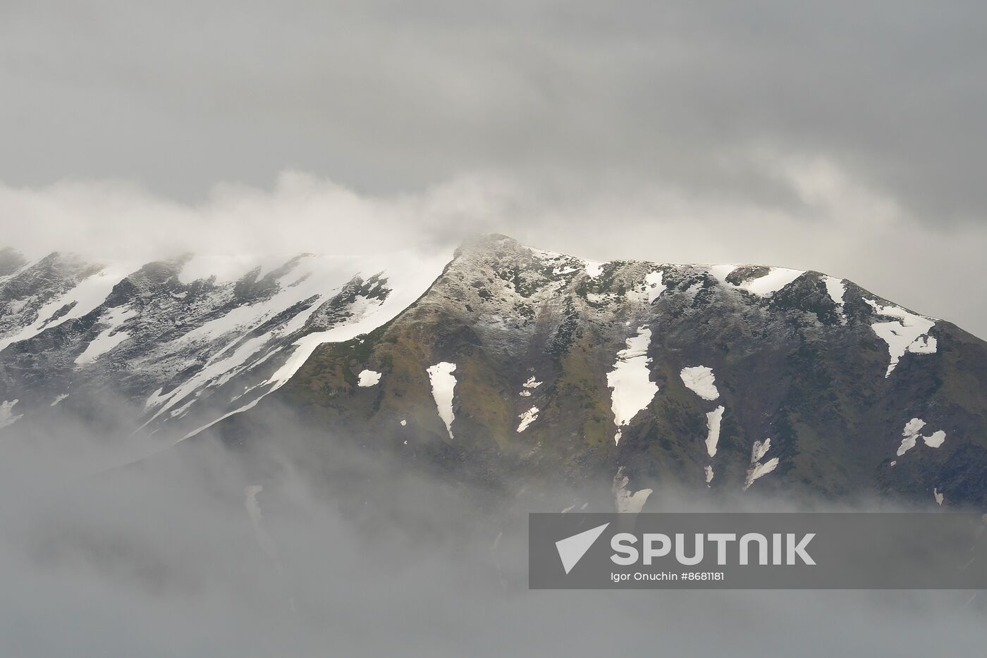 Russia Environment Caucasus Nature Reserve