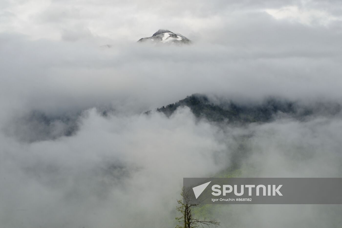 Russia Environment Caucasus Nature Reserve