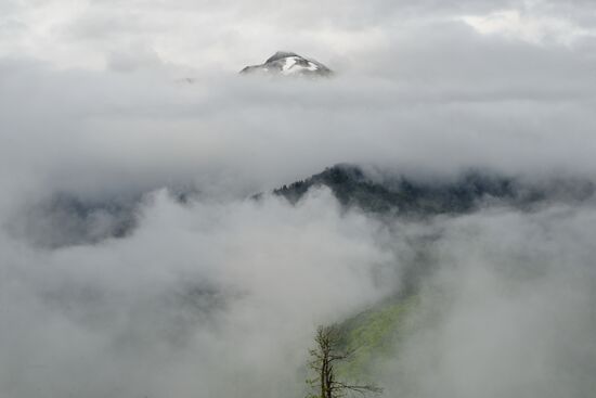 Russia Environment Caucasus Nature Reserve