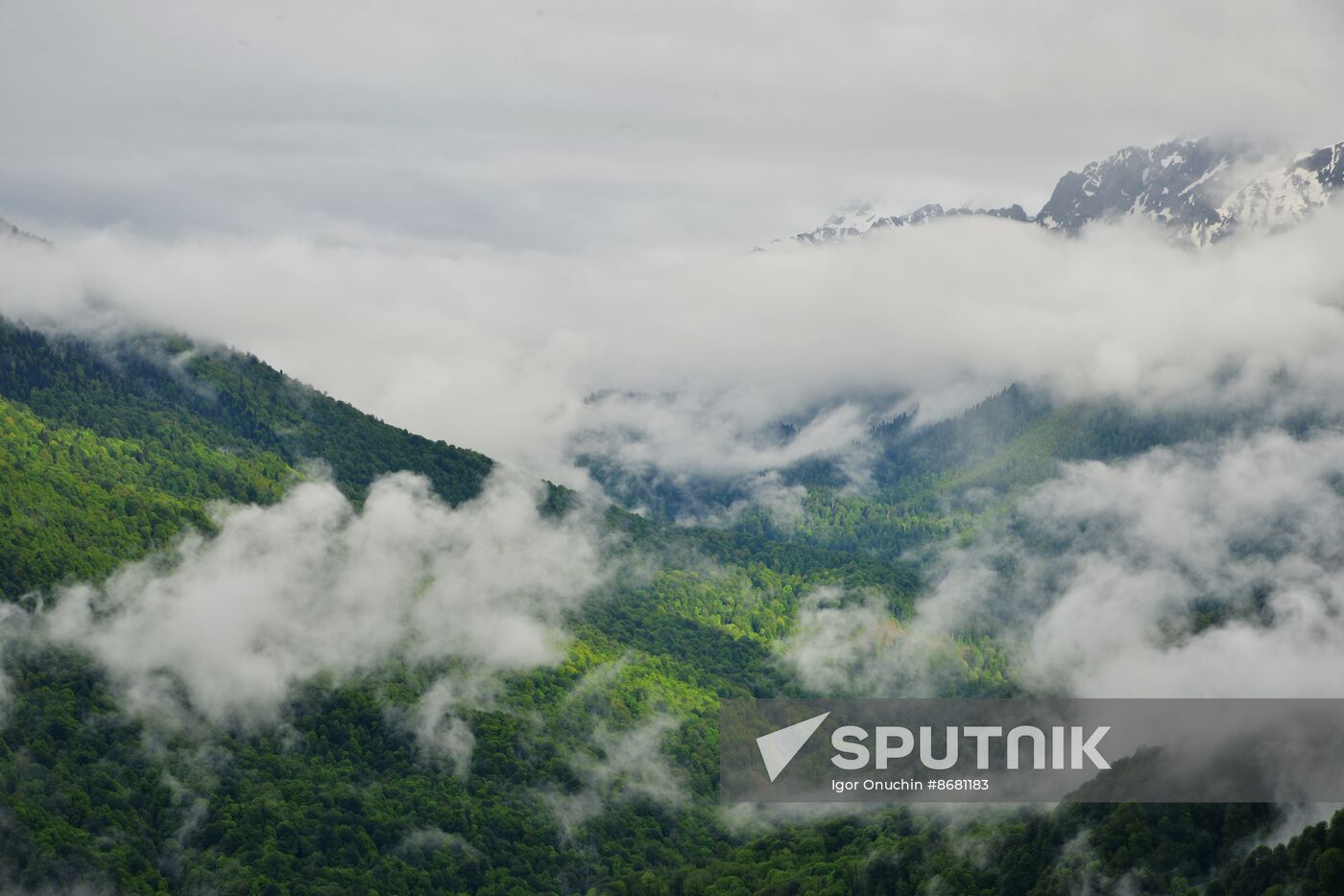 Russia Environment Caucasus Nature Reserve