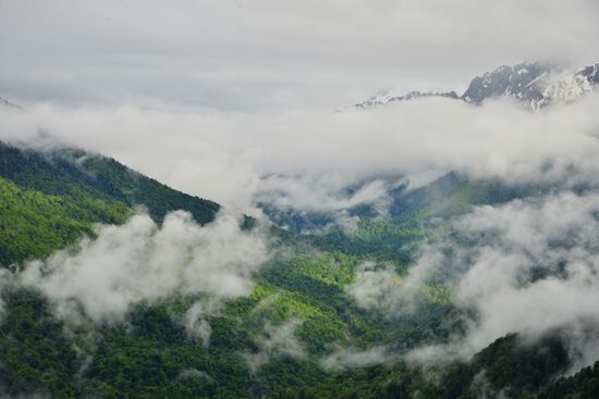 Russia Environment Caucasus Nature Reserve