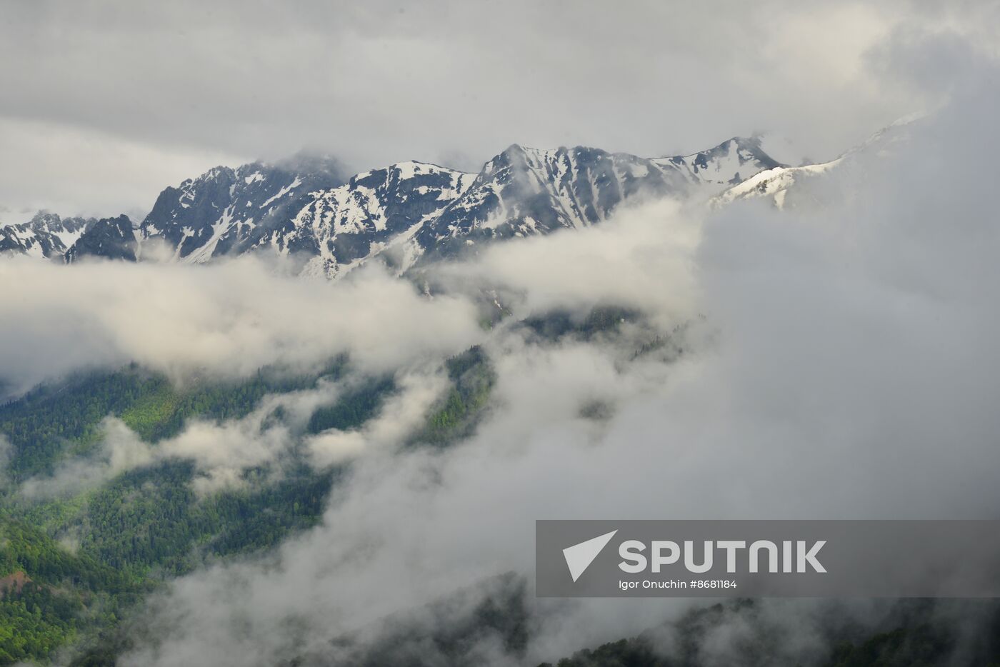Russia Environment Caucasus Nature Reserve