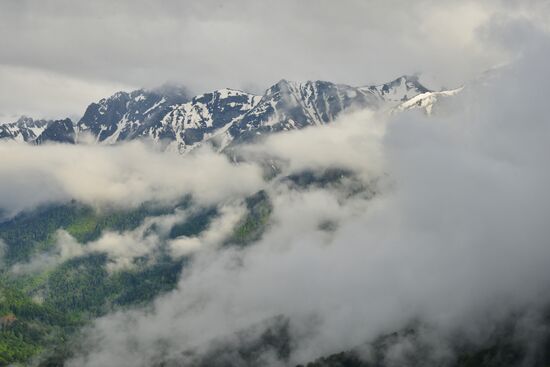 Russia Environment Caucasus Nature Reserve