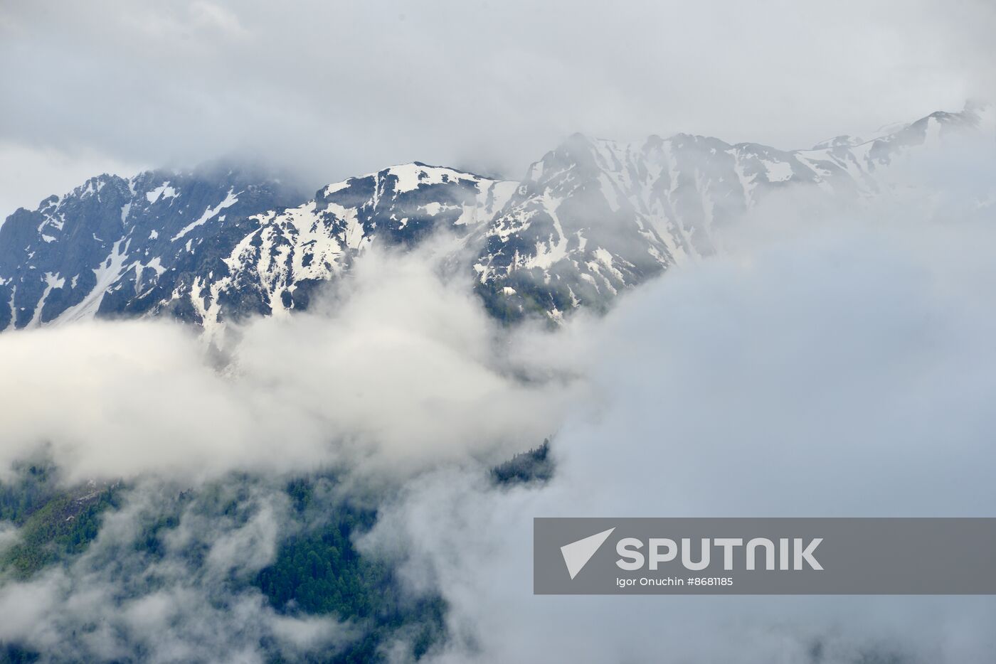 Russia Environment Caucasus Nature Reserve