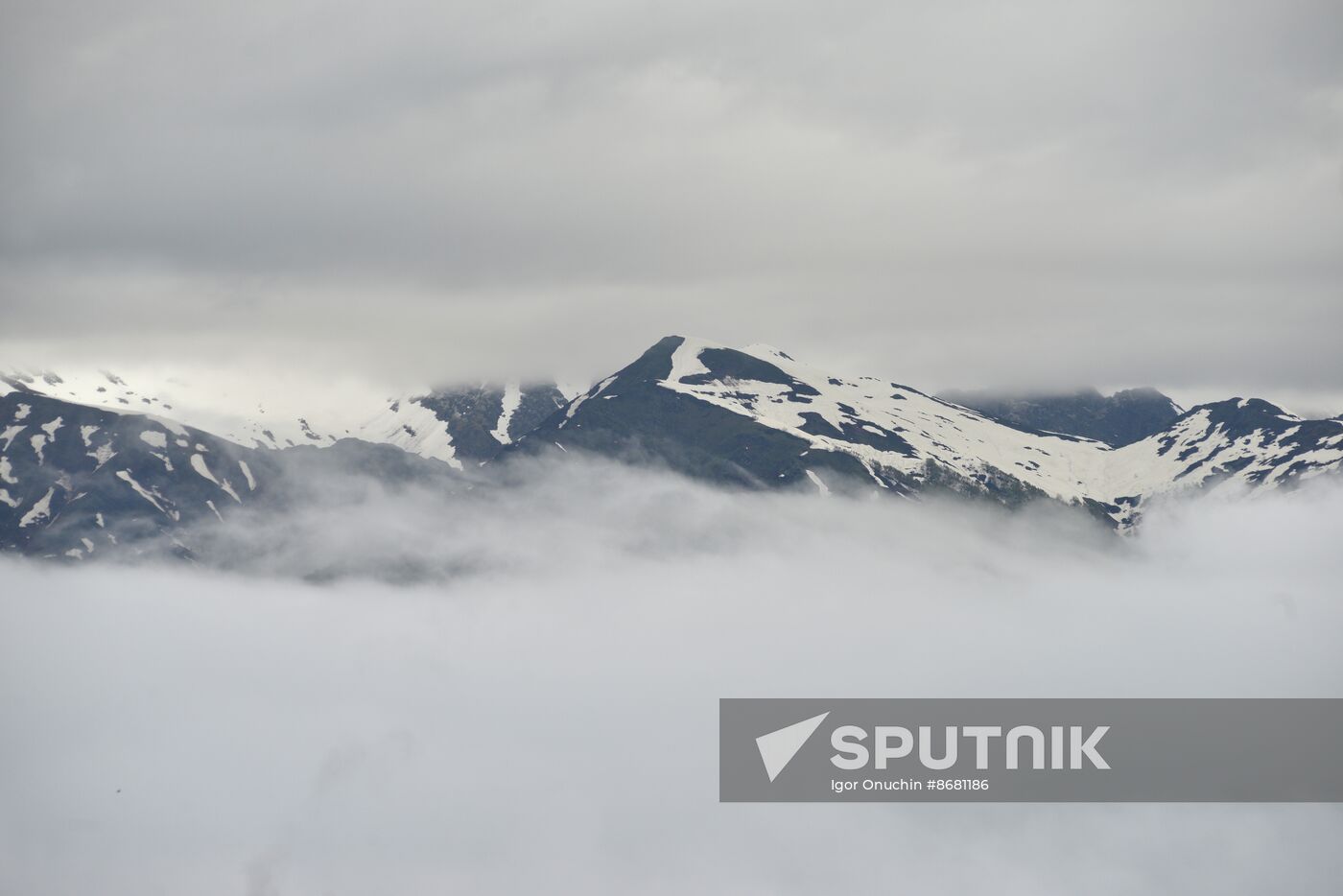 Russia Environment Caucasus Nature Reserve