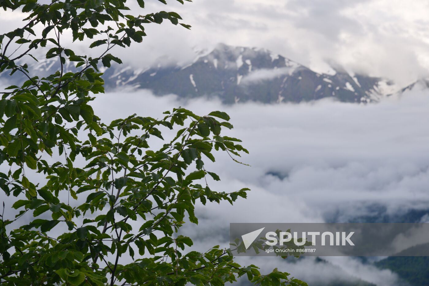 Russia Environment Caucasus Nature Reserve