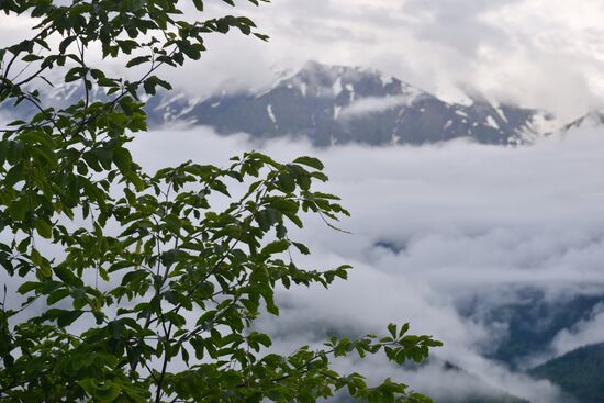 Russia Environment Caucasus Nature Reserve