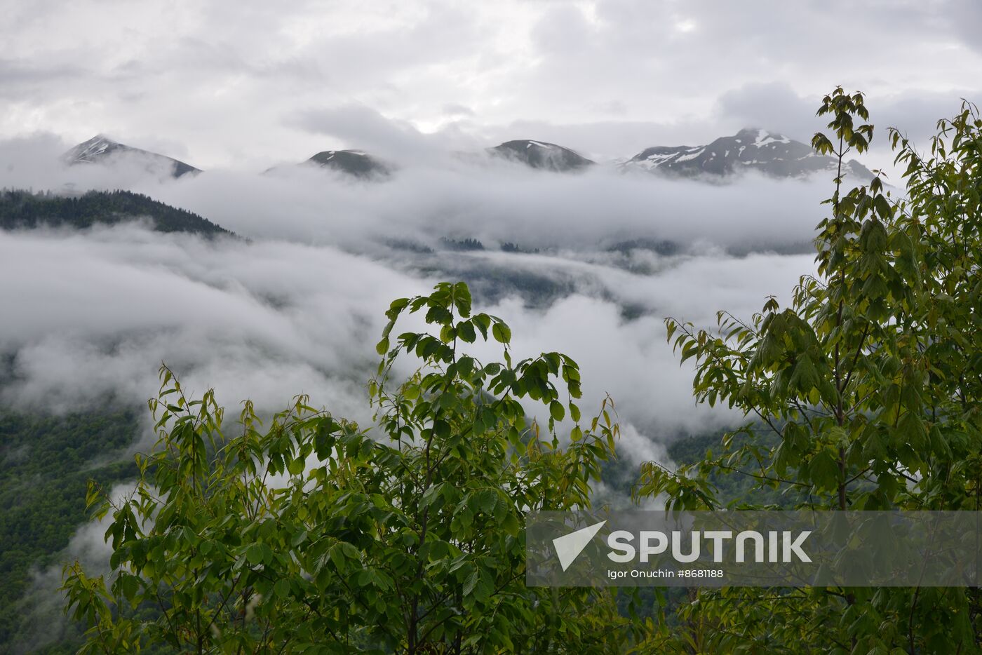 Russia Environment Caucasus Nature Reserve