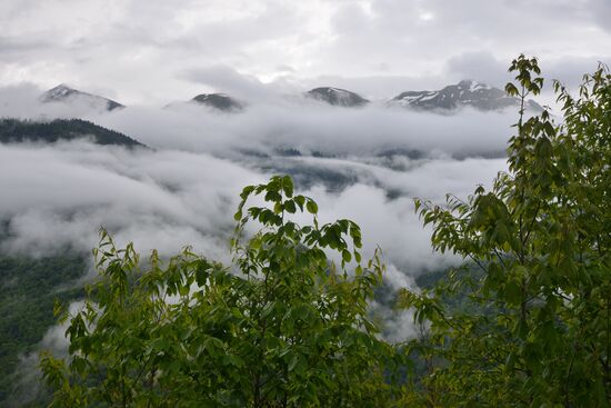 Russia Environment Caucasus Nature Reserve