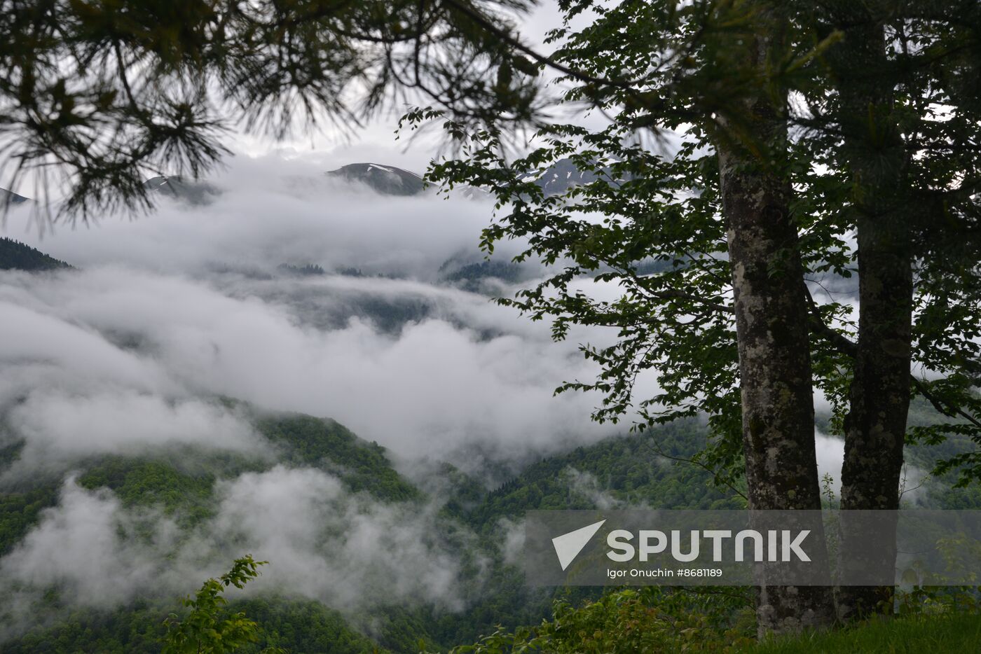 Russia Environment Caucasus Nature Reserve