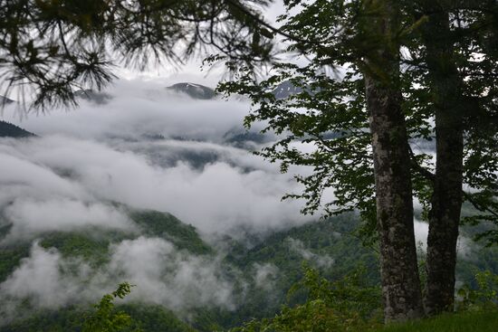 Russia Environment Caucasus Nature Reserve