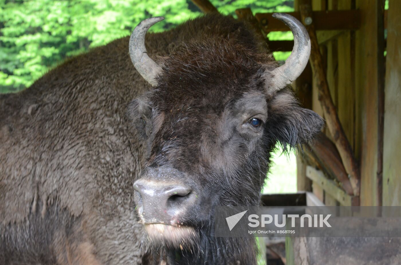 Russia Environment Caucasus Nature Reserve