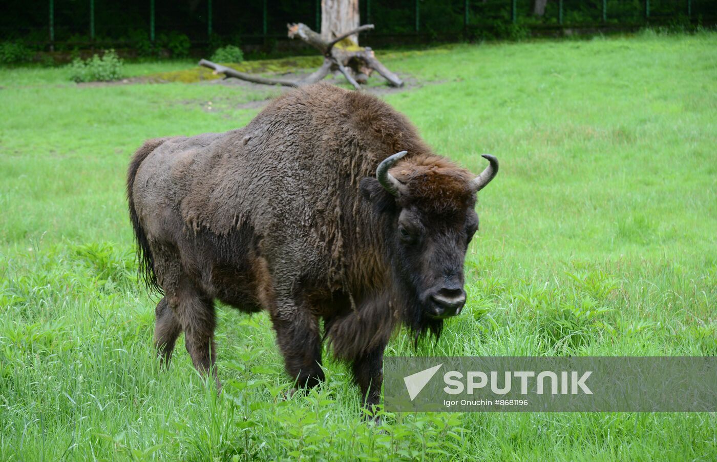 Russia Environment Caucasus Nature Reserve