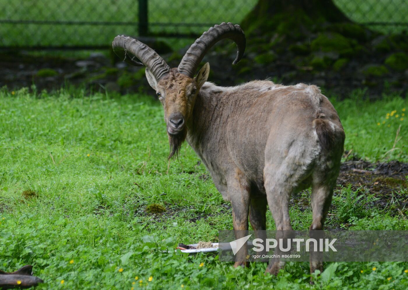 Russia Environment Caucasus Nature Reserve