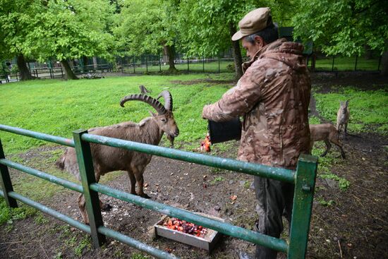 Russia Environment Caucasus Nature Reserve