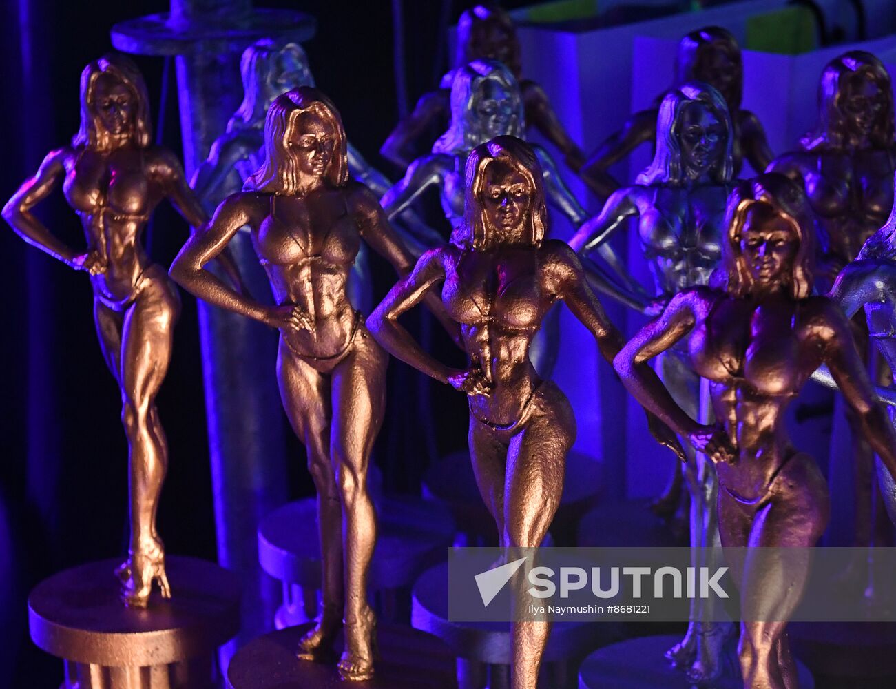 Russia Siberian Power Show