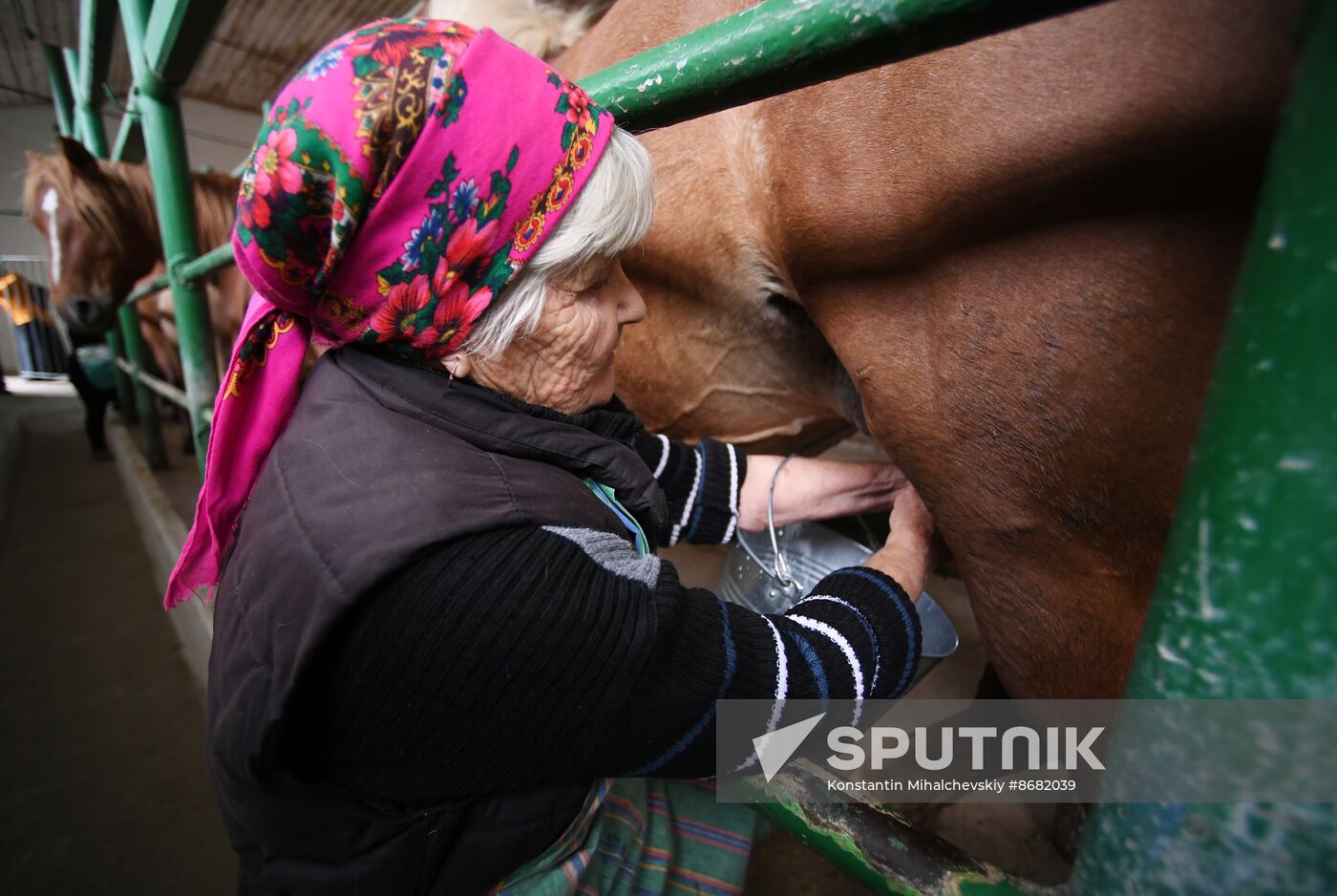 Russia Agriculture Kumis Production