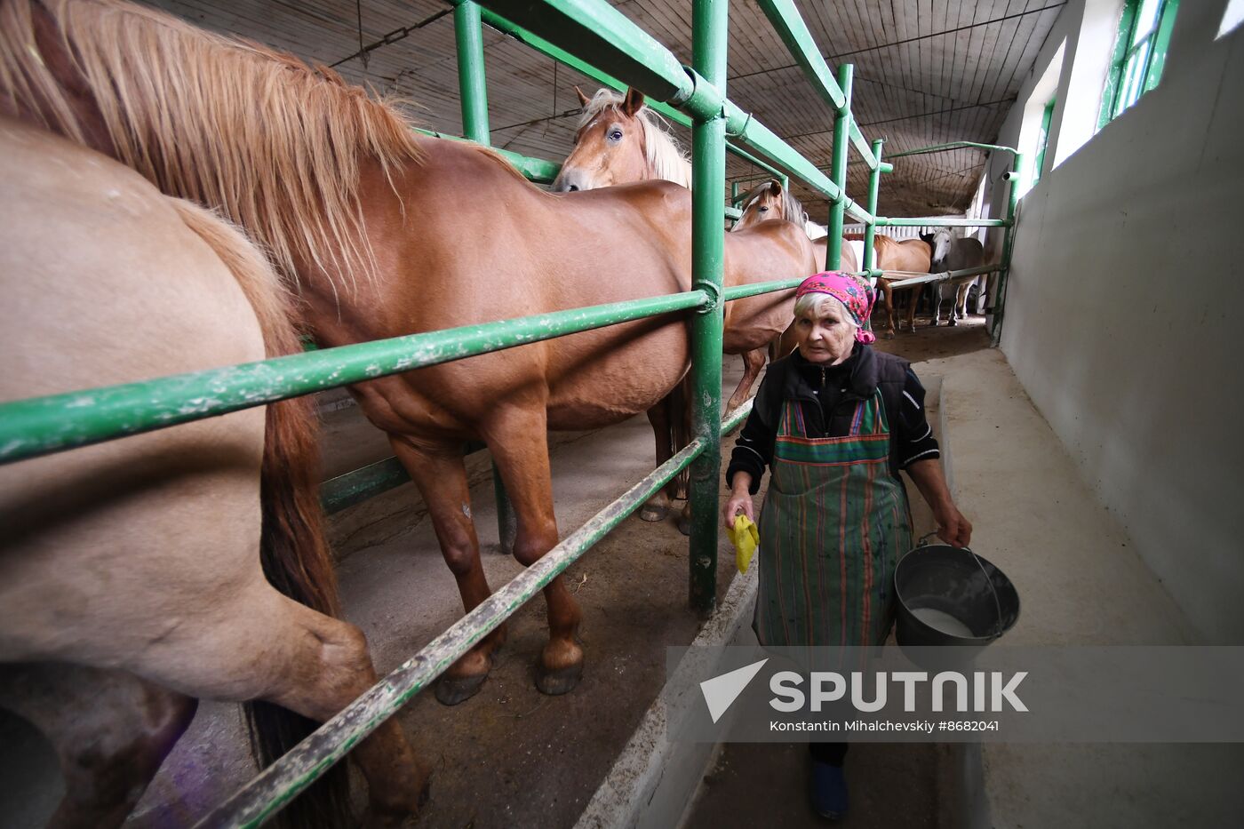 Russia Agriculture Kumis Production