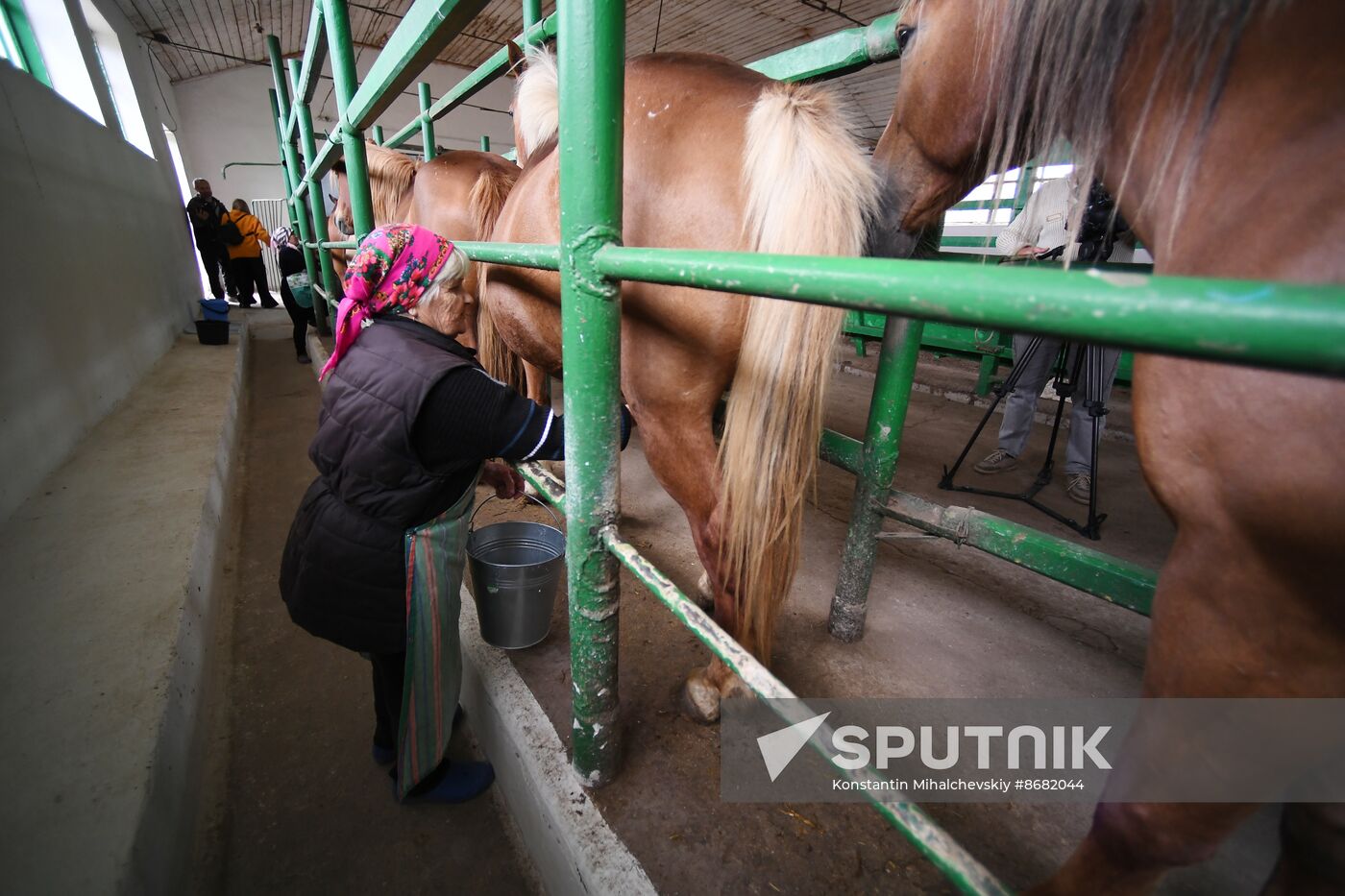 Russia Agriculture Kumis Production