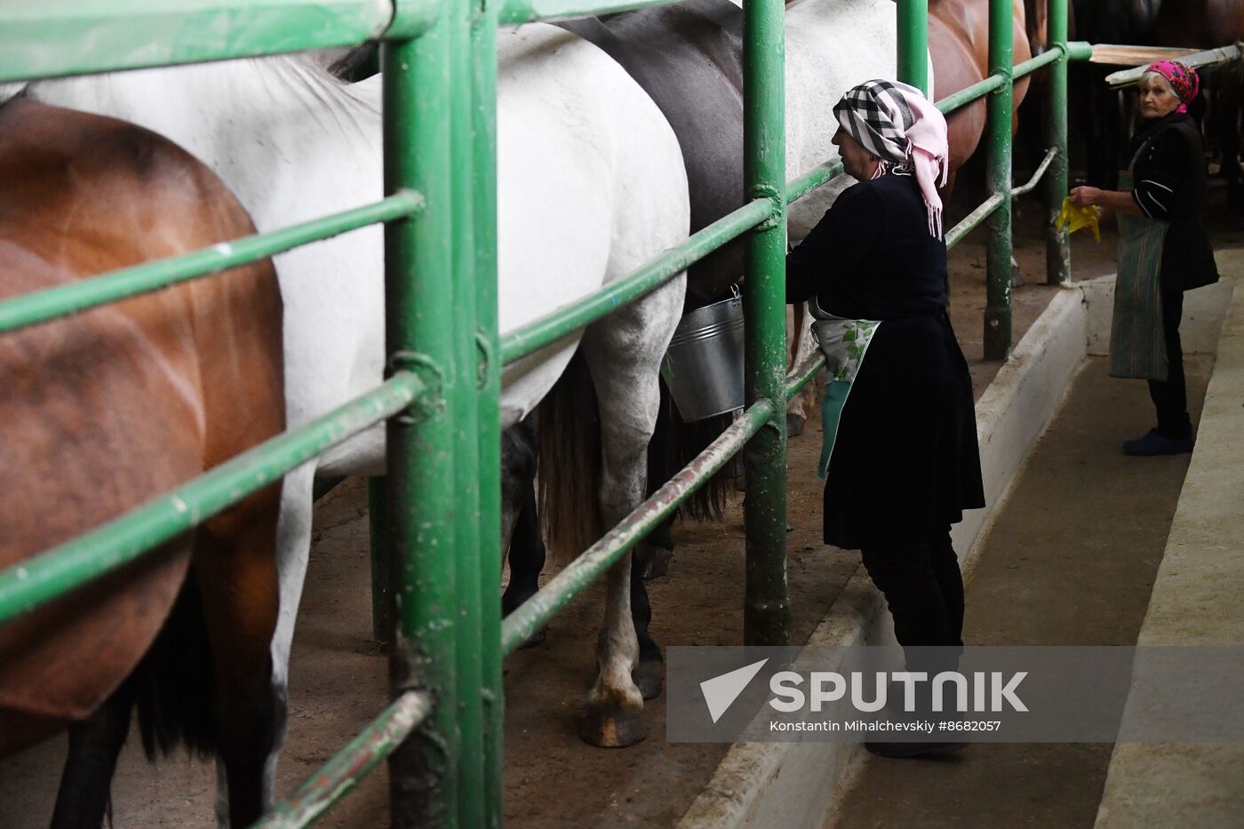 Russia Agriculture Kumis Production