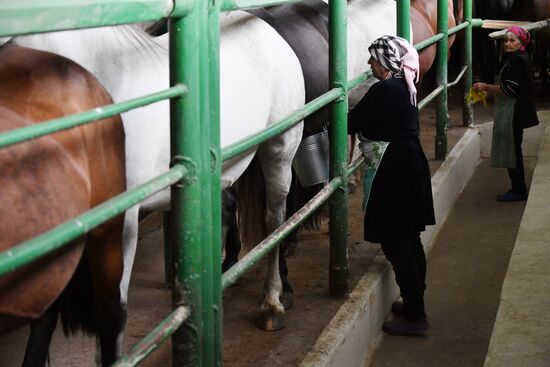 Russia Agriculture Kumis Production