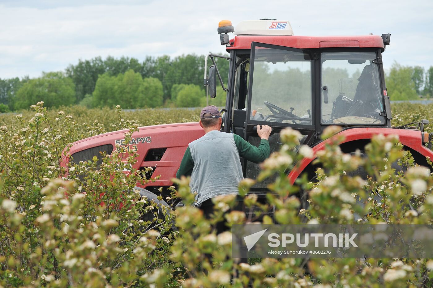 Russia Agriculture Fruit Crops Growing