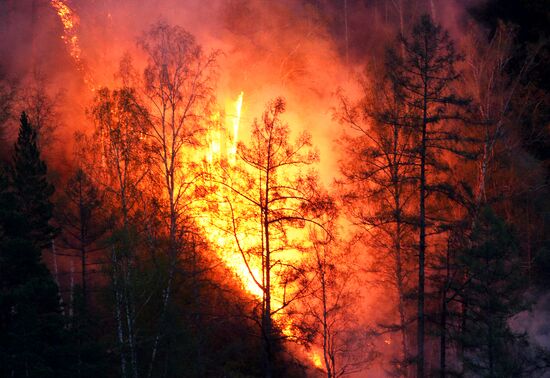 Russia Siberia Wildfire