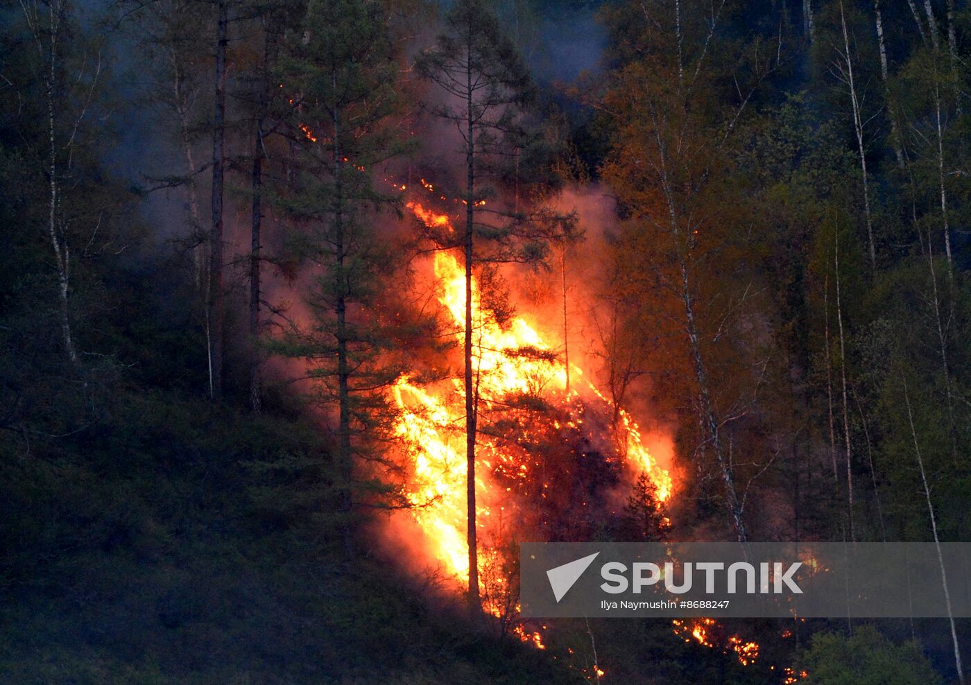 Russia Siberia Wildfire