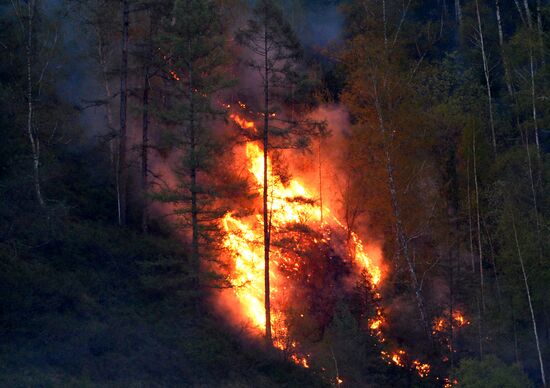 Russia Siberia Wildfire