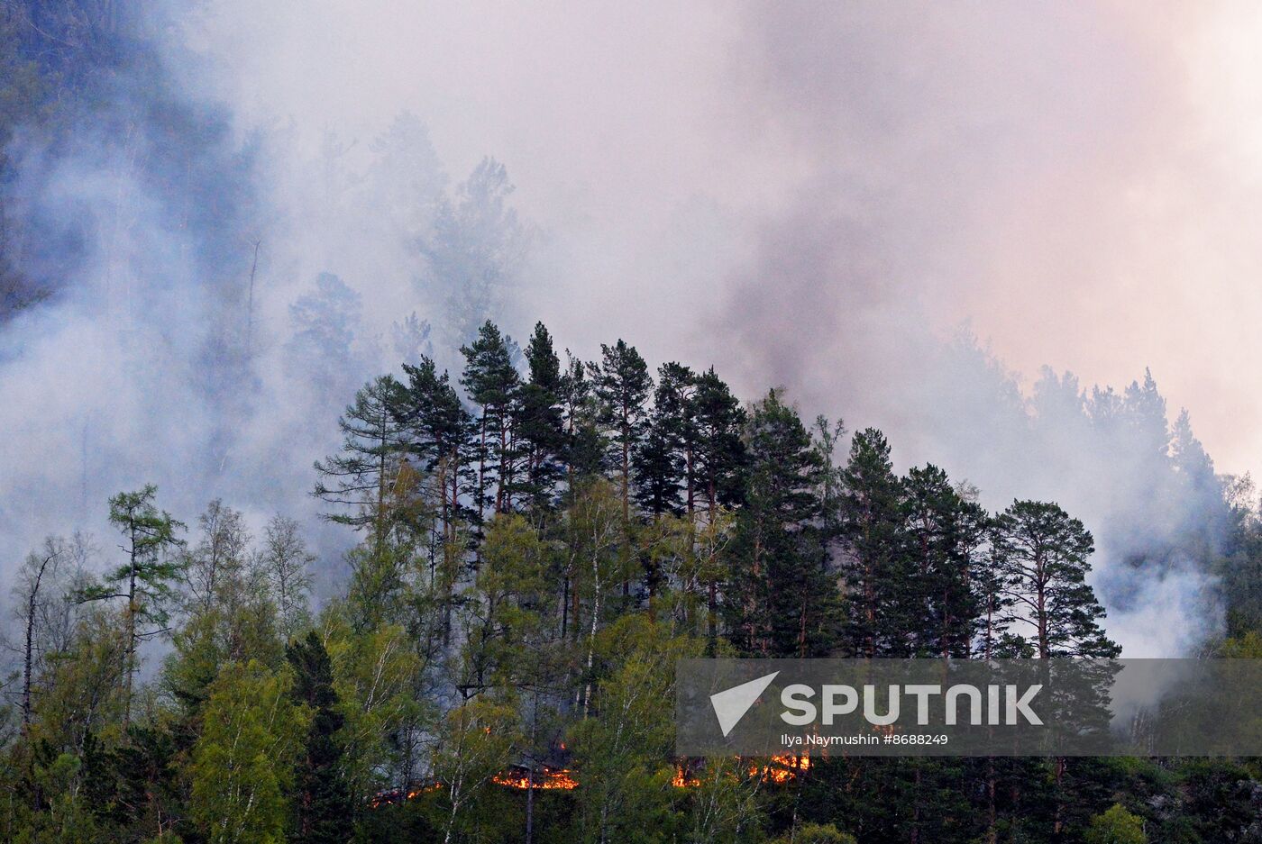 Russia Siberia Wildfire