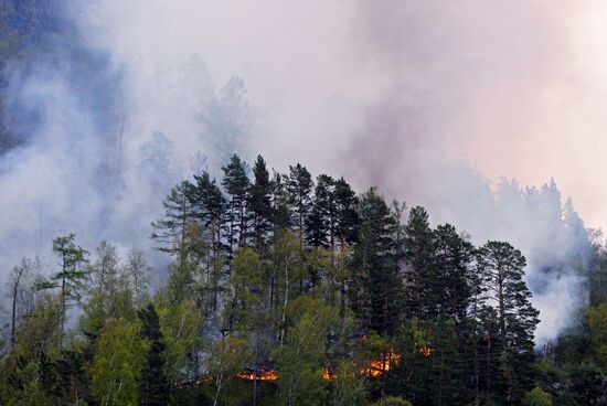 Russia Siberia Wildfire