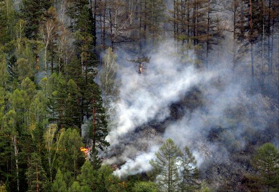 Russia Siberia Wildfire
