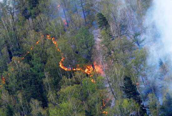 Russia Siberia Wildfire