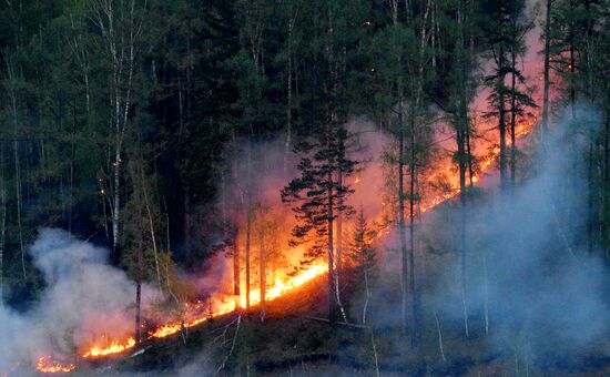 Russia Siberia Wildfire