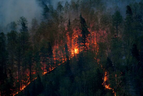 Russia Siberia Wildfire