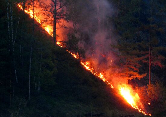 Russia Siberia Wildfire