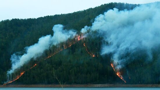 Russia Siberia Wildfire