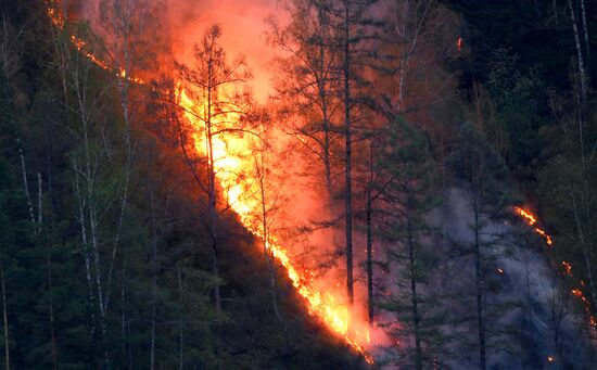 Russia Siberia Wildfire